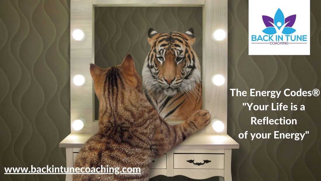 Life is a reflection of your energy Cat/Tiger Picture, The Energy Codes Five Truths, Michelle Falcon