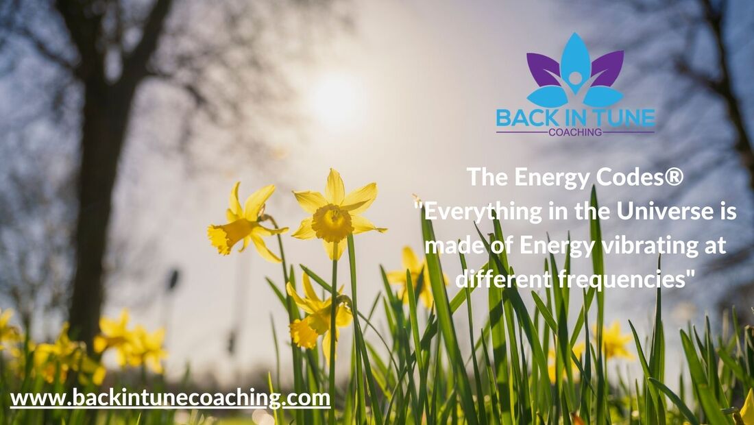 Everything is Energy, The Energy Codes Coaching UK, Michelle FalconPicture