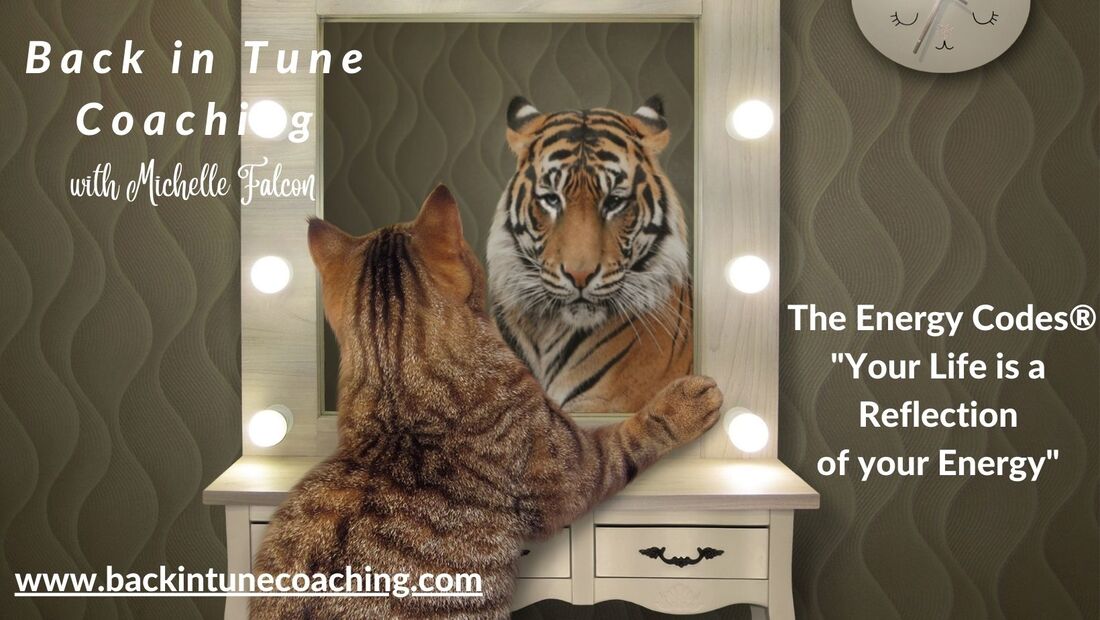 Life is a reflection of your energy Cat/Tiger Picture, The Energy Codes Five Truths, Michelle Falcon